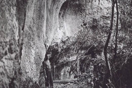 Pour aller sur le site, cliquez sur l'image !