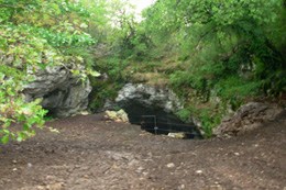 Pour aller sur le site, cliquez sur l'image !